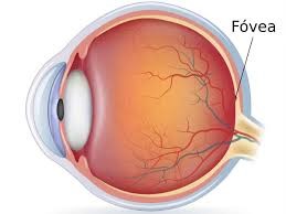 Dislessia e movimenti oculari