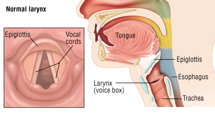 Esercizi per mantenere sane le corde vocali